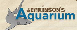 Jenkinson's Aquarium