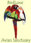 BirdLove Avian Sanctuary