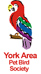 York Area Pet Bird Society