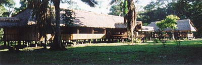 Camp at Tambopata